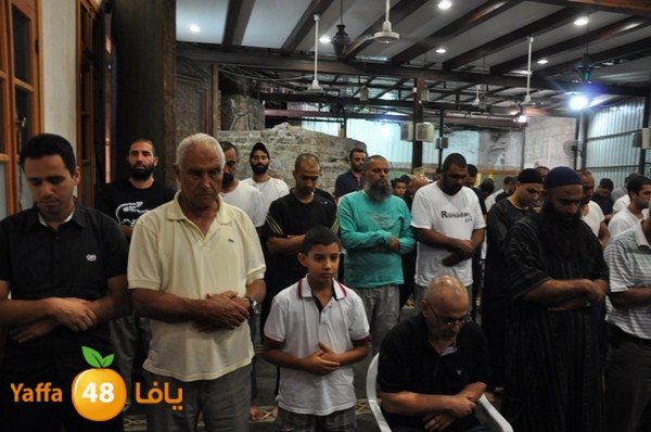 msajed amer qder 804 (36).JPG